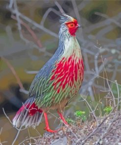 The Blood Pheasant Bird Diamond Painting