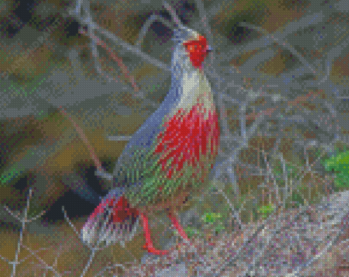 The Blood Pheasant Bird Diamond Painting