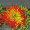 Orange Dahlia Flower Diamond Painting