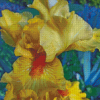 Bearded Iris Plant Diamond Painting