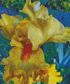 Bearded Iris Plant Diamond Painting