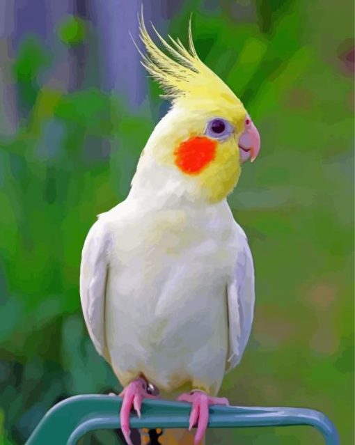 Aesthetic Cockatiel Parrot Diamond Painting