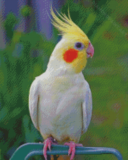 Aesthetic Cockatiel Parrot Diamond Painting