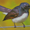 Aesthetic Willy Wagtail Diamond Painting