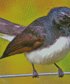 Aesthetic Willy Wagtail Diamond Painting