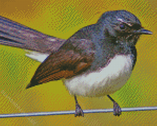 Aesthetic Willy Wagtail Diamond Painting