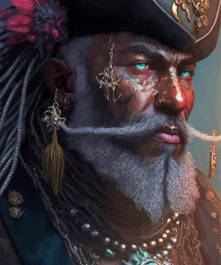 Aesthetic Black Pirate Diamond Painting