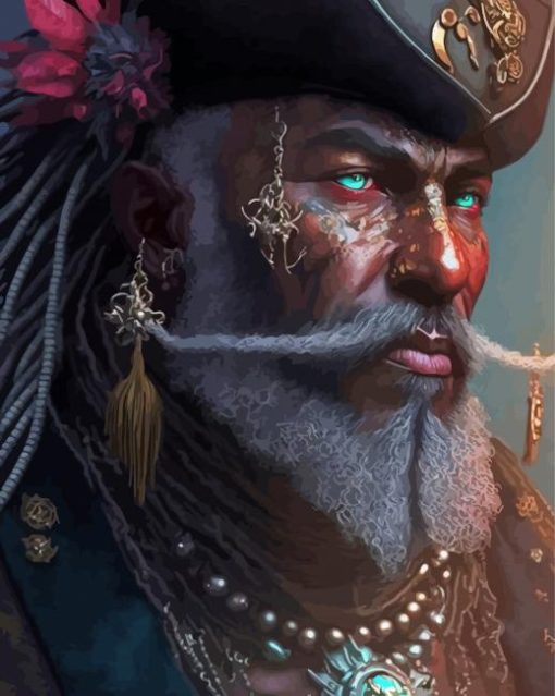 Aesthetic Black Pirate Diamond Painting