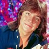 Aesthetic David Cassidy Diamond Painting