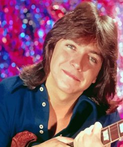 Aesthetic David Cassidy Diamond Painting