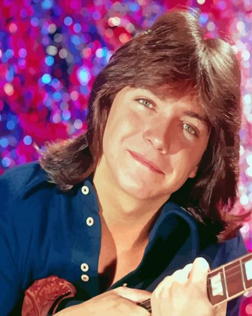 Aesthetic David Cassidy Diamond Painting