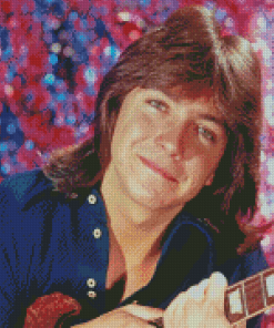 Aesthetic David Cassidy Diamond Painting