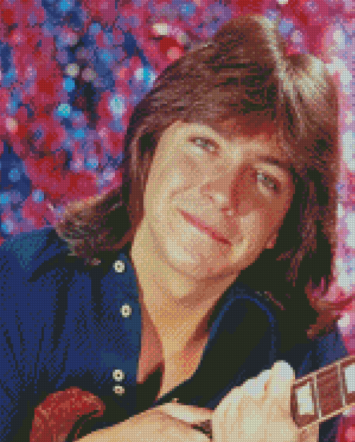 Aesthetic David Cassidy Diamond Painting