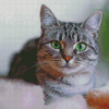 Grey Tabby Cat Diamond Painting