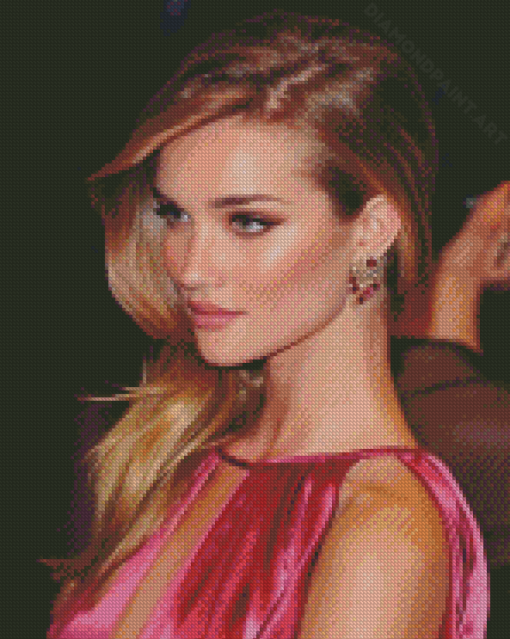 Rosie Huntington Whiteley Diamond Painting