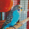 Blue Parakeet Bird Diamond Painting