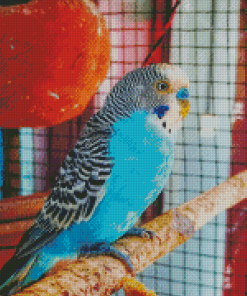 Blue Parakeet Bird Diamond Painting