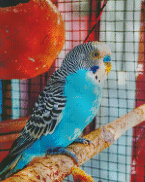 Blue Parakeet Bird Diamond Painting