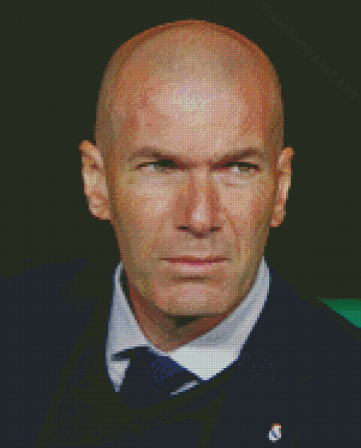 Cool Zinedine Zidane Diamond Painting