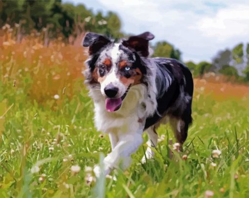 Cool Aussie Dog Diamond Painting