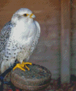 Cool White Gyrfalcon Diamond Painting