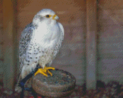 Cool White Gyrfalcon Diamond Painting