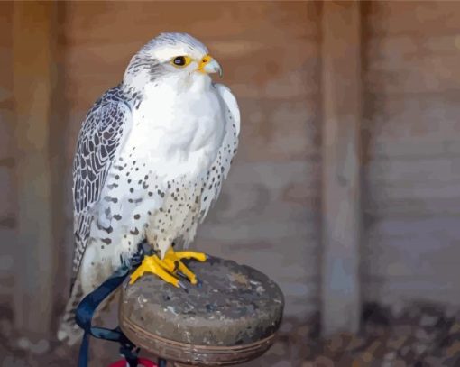 Cool White Gyrfalcon Diamond Painting