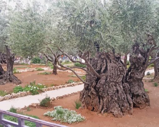 Old Trees In Garden Of Gethsemane Diamond Painting