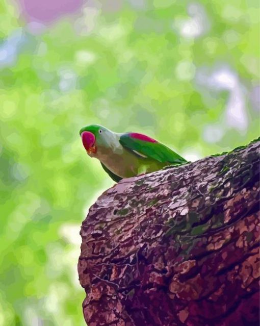 Alexandrine Parakeet Diamond Painting