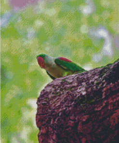 Alexandrine Parakeet Diamond Painting