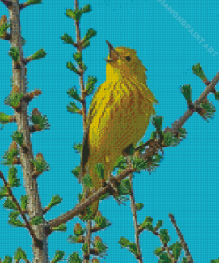 American Yellow Warbler Bird Diamond Painting