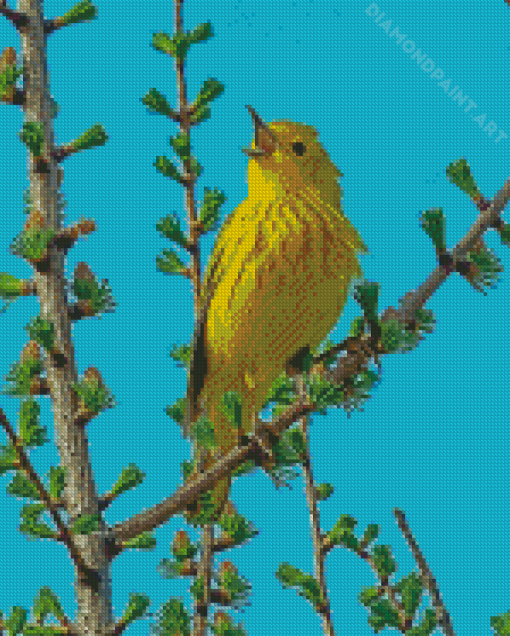 American Yellow Warbler Bird Diamond Painting