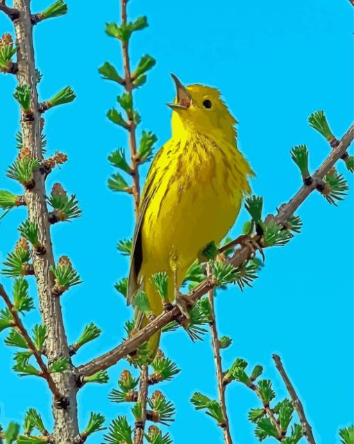 American Yellow Warbler Bird Diamond Painting