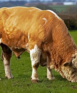 Beige Simmental Cattle Diamond Painting