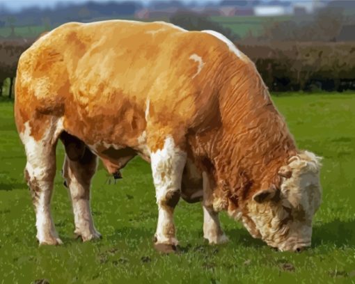 Beige Simmental Cattle Diamond Painting