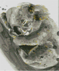 Black And White Koala Art Diamond Painting