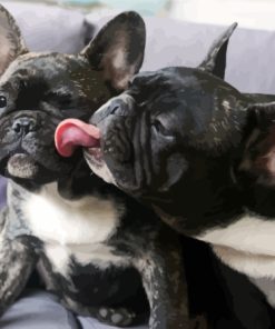 Black Bulldogs Playing Diamond Painting