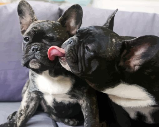 Black Bulldogs Playing Diamond Painting