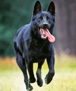 Black Shepherd Diamond Painting