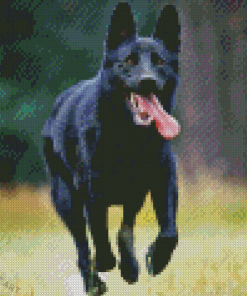 Black Shepherd Diamond Painting