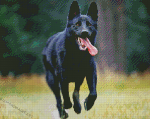 Black Shepherd Diamond Painting