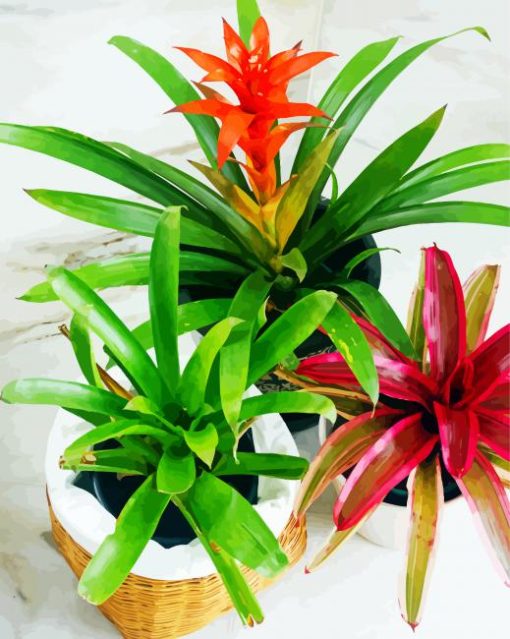 Bromeliad Plant Pots Diamond Painting