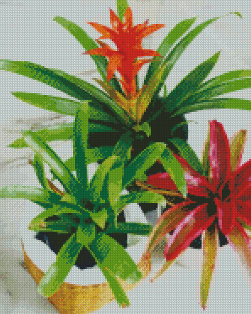 Bromeliad Plant Pots Diamond Painting