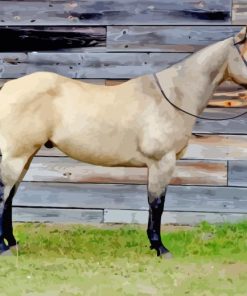 Buckskin Horse Diamond Painting