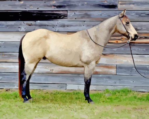 Buckskin Horse Diamond Painting