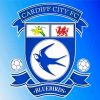 Cardiff City Football Logo Diamond Painting