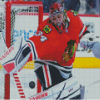 Chicago Blackhawks Goalie Player Diamond Painting