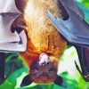 Golden Crowned Flying Fox Animal Diamond Painting