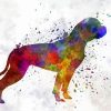 Colorful Abstract American Bulldog Diamond Painting