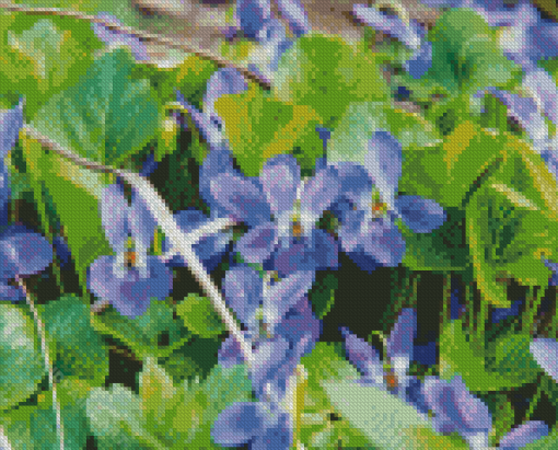 Common Blue Violet Flowers Diamond Painting